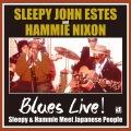 SLEEPY JOHN ESTES & HAMMIE NIXON