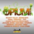 Beenie Man