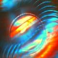 Solar Bears