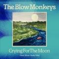 THE BLOW MONKEYS