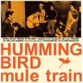 mule train