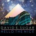 DAVID E. SUGAR