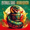 CITRUS SUN