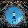 BACKMAN JOHANSON AND THE OTHERS