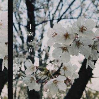 松下華