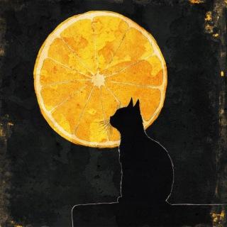nite pianos