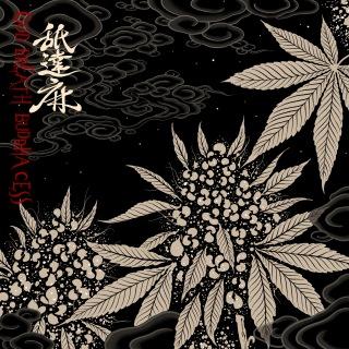 BADSAIKUSH